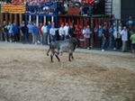 Fotografia /Gallery/55900_29648/10_M1.jpg