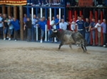 Exhiben un toro de Madroñiz para abrir las fiestas