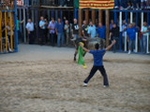 Exhiben un toro de Madroñiz para abrir las fiestas