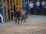 Exhiben un toro de Madroñiz para abrir las fiestas