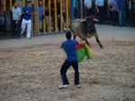 Exhiben un toro de Madroñiz para abrir las fiestas