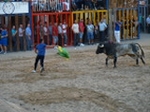 Exhiben un toro de Madroñiz para abrir las fiestas