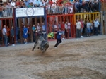 Exhiben un toro de Madroñiz para abrir las fiestas