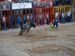 Exhiben un toro de Madroñiz para abrir las fiestas