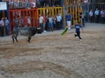 Exhiben un toro de Madroñiz para abrir las fiestas