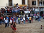 Exhiben un toro de Madroñiz para abrir las fiestas