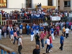 Exhiben un toro de Madroñiz para abrir las fiestas