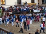 Exhiben un toro de Madroñiz para abrir las fiestas