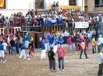 Exhiben un toro de Madroñiz para abrir las fiestas