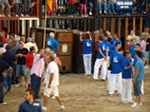 Exhiben un toro de Madroñiz para abrir las fiestas