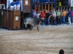 Fotografia /Gallery/55900_29648/3_M1.jpg