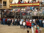 Exhiben un toro de Madroñiz para abrir las fiestas