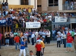 Exhiben un toro de Madroñiz para abrir las fiestas