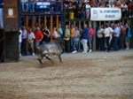 Fotografia /Gallery/55900_29648/4_M1.jpg