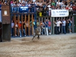 Fotografia /Gallery/55900_29648/5_M1.jpg
