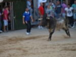 Fotografia /Gallery/55900_29648/7_M1.jpg