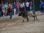 Fotografia /Gallery/55900_29648/8_M1.jpg