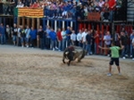 Fotografia /Gallery/55900_29648/9_M1.jpg