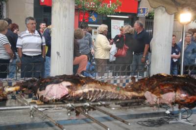 Fotografia /Gallery/5605_3200/4_M1.jpg