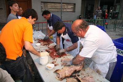 Fotografia /Gallery/5605_3200/6_M1.jpg