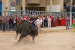 Los toros cerriles concentran a multitud de aficionados