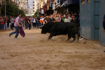 Fotografia /Gallery/5609_3204/3_M1.jpg