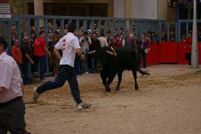 Fotografia /Gallery/5609_3204/5_M1.jpg