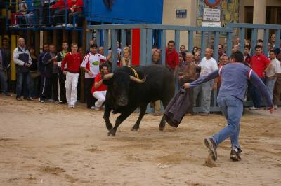 Fotografia /Gallery/5609_3204/6_M1.jpg