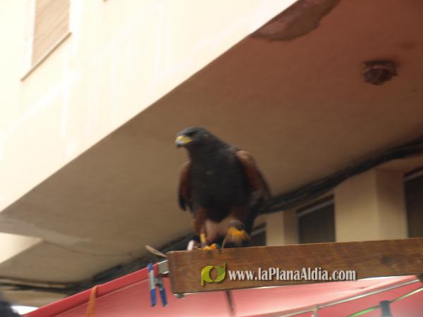 Inaugurado el Mercado Medieval de las Fiestas Patronales de la Sagrada Familia y Santísimo Cristo