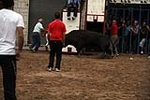 Los toros cerriles cierran las fiestas de Moncofa