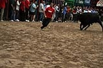 Los toros cerriles cierran las fiestas de Moncofa