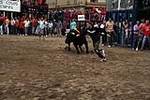 Los toros cerriles cierran las fiestas de Moncofa