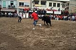 Los toros cerriles cierran las fiestas de Moncofa