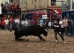 Los toros cerriles cierran las fiestas de Moncofa