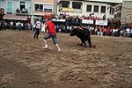 Los toros cerriles cierran las fiestas de Moncofa