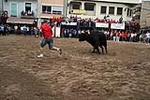 Los toros cerriles cierran las fiestas de Moncofa
