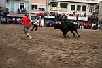 Los toros cerriles cierran las fiestas de Moncofa