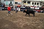 Los toros cerriles cierran las fiestas de Moncofa