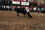 Los toros cerriles cierran las fiestas de Moncofa