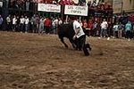 Los toros cerriles cierran las fiestas de Moncofa
