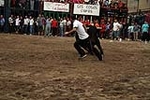 Los toros cerriles cierran las fiestas de Moncofa