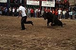 Los toros cerriles cierran las fiestas de Moncofa