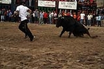Los toros cerriles cierran las fiestas de Moncofa