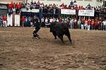 Los toros cerriles cierran las fiestas de Moncofa