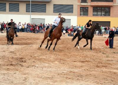 Fotografia /Gallery/5639_3218/3_M1.jpg