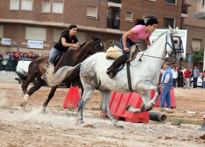 Fotografia /Gallery/5639_3218/4_M1.jpg