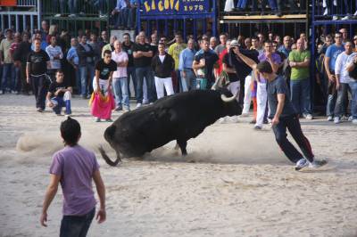 Fotografia /Gallery/56507_29973/3_M1.jpg