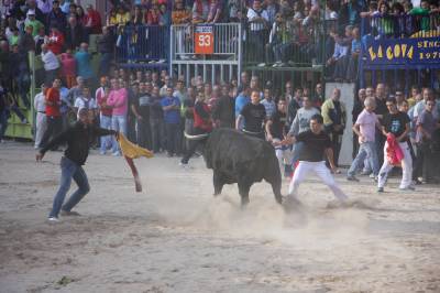 Fotografia /Gallery/56507_29973/4_M1.jpg