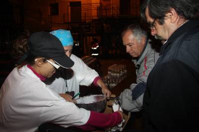 Fotografia /Gallery/56619_30052/6_M1.jpg