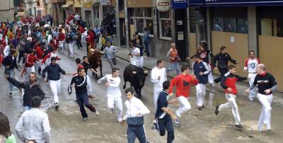 Fotografia /Gallery/56721_30080/3_M1.jpg